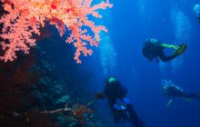 Safari St'Johns - 27 kwiecień 2012