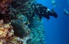 Safari St'Johns - 27 kwiecień 2012