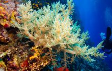 Safari St'Johns - 27 kwiecień 2012