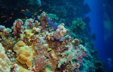 Safari St'Johns - 27 kwiecień 2012