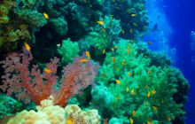 Safari St'Johns - 27 kwiecień 2012