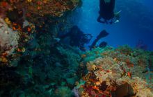 Safari St'Johns - 27 kwiecień 2012