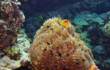 Safari St'Johns - 27 kwiecień 2012