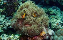 Safari St'Johns - 27 kwiecień 2012