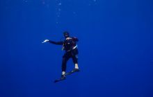 Safari St'Johns - 27 kwiecień 2012