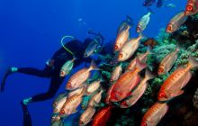 Safari St'Johns - 27 kwiecień 2012