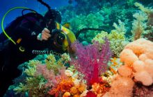 Safari St'Johns - 27 kwiecień 2012