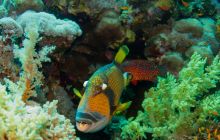 Safari St'Johns - 27 kwiecień 2012