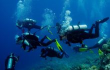 Safari St'Johns - 27 kwiecień 2012