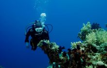 Safari St'Johns - 27 kwiecień 2012