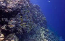 Safari St'Johns - 27 kwiecień 2012