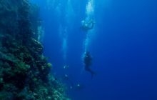 Safari St'Johns - 27 kwiecień 2012