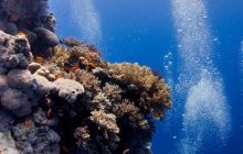 Safari St'Johns - 27 kwiecień 2012