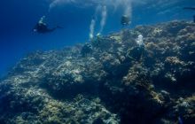 Safari St'Johns - 27 kwiecień 2012