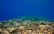 Safari St'Johns - 27 kwiecień 2012