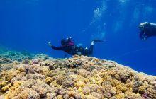 Safari St'Johns - 27 kwiecień 2012