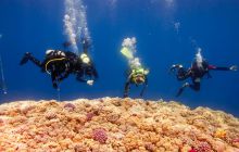 Safari St'Johns - 27 kwiecień 2012