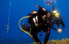 Safari St'Johns - 27 kwiecień 2012