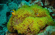 Safari St'Johns - 27 kwiecień 2012