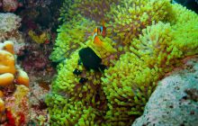 Safari St'Johns - 27 kwiecień 2012