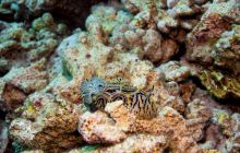 Safari St'Johns - 27 kwiecień 2012