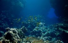 Safari St'Johns - 27 kwiecień 2012