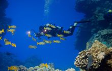 Safari St'Johns - 27 kwiecień 2012