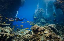 Safari St'Johns - 27 kwiecień 2012