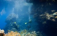 Safari St'Johns - 27 kwiecień 2012