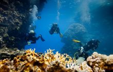 Safari St'Johns - 27 kwiecień 2012