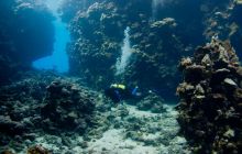 Safari St'Johns - 27 kwiecień 2012