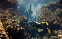 Safari St'Johns - 27 kwiecień 2012