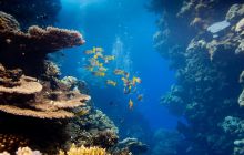 Safari St'Johns - 27 kwiecień 2012