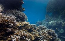 Safari St'Johns - 27 kwiecień 2012