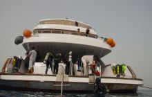 Safari St'Johns - 27 kwiecień 2012