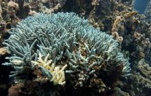 Safari St'Johns - 27 kwiecień 2012