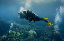 Safari St'Johns - 27 kwiecień 2012