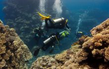 Safari St'Johns - 27 kwiecień 2012