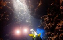 Safari St'Johns - 27 kwiecień 2012