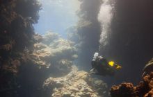 Safari St'Johns - 27 kwiecień 2012