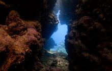 Safari St'Johns - 27 kwiecień 2012