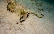 Safari St'Johns - 27 kwiecień 2012