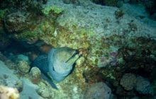 Safari St'Johns - 27 kwiecień 2012