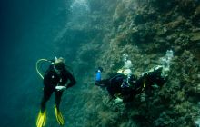 Safari St'Johns - 27 kwiecień 2012