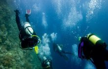 Safari St'Johns - 27 kwiecień 2012