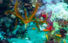 Safari St'Johns - 27 kwiecień 2012