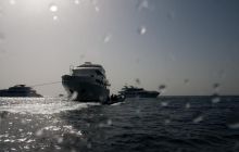 Safari St'Johns - 27 kwiecień 2012