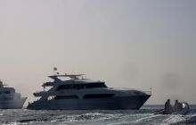 Safari St'Johns - 27 kwiecień 2012