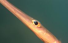 Safari St'Johns - 27 kwiecień 2012