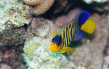 Safari St'Johns - 27 kwiecień 2012